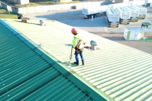 metal roof lifeline installation in use on green roof at CNG Holdings Roodepoort